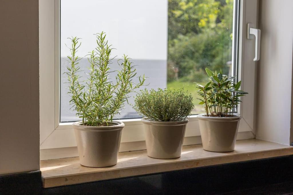 Grafschafft Angenehmes Wohnen - Ferienwohnung Mit 2 Schlafzimmern Pirna Exteriér fotografie